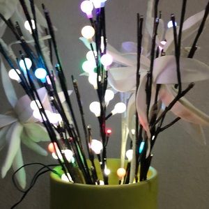 Meet your Posher, Souad